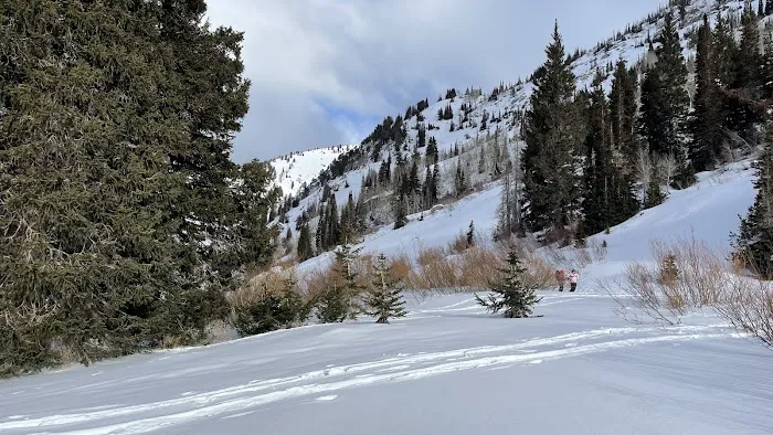 Albion Basin Campground Picture 3