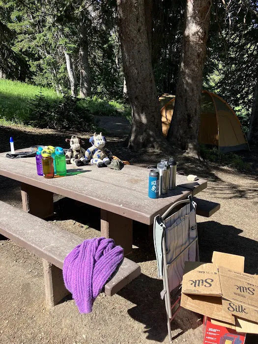 Albion Basin Campground Picture 2