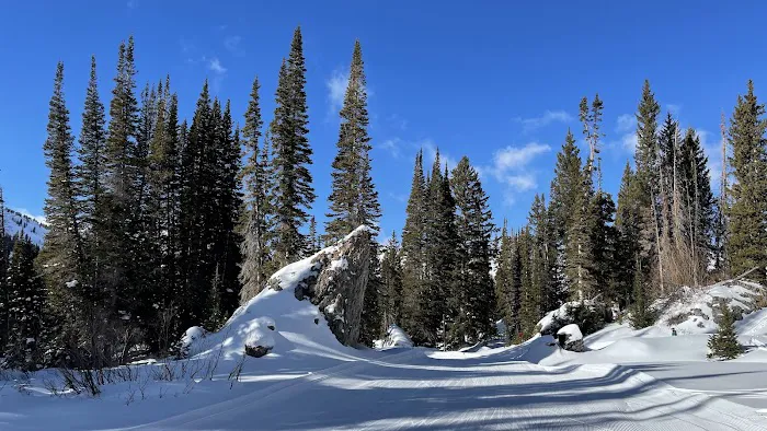 Albion Basin Campground Picture 4
