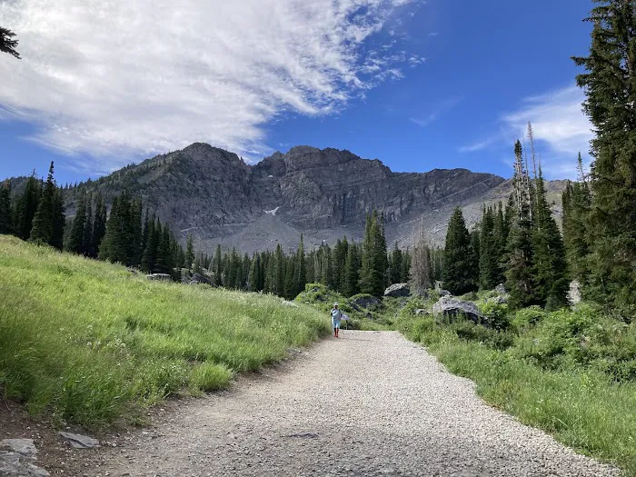 Albion Basin Campground Picture 6