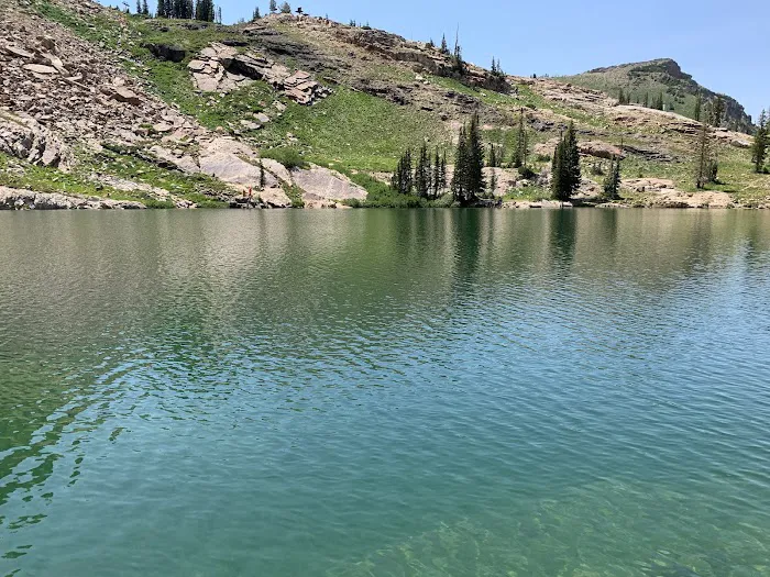 Albion Basin Campground Picture 5