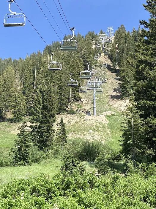 Albion Basin Campground Picture 9