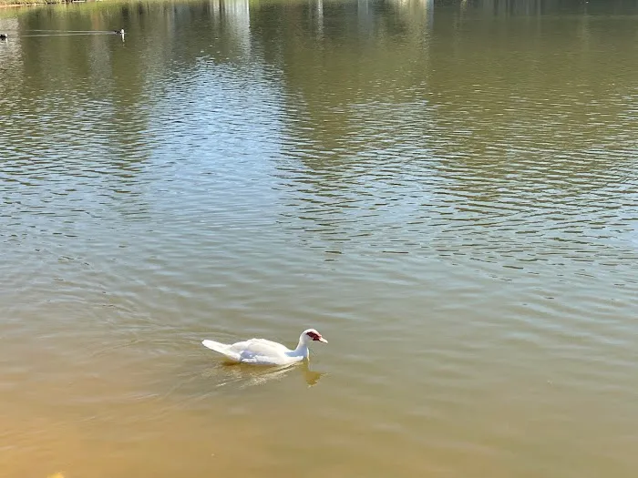 Riverdale of Riverdale, Georgia Picture 4