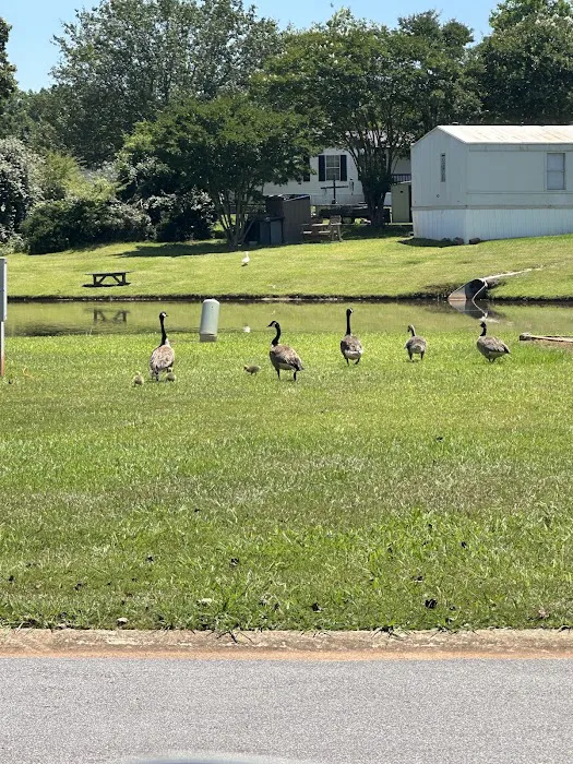 La Costa Mobile Home And RV Park Picture 9