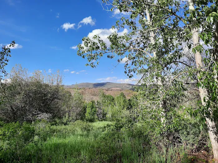 McHenry Campground Picture 5