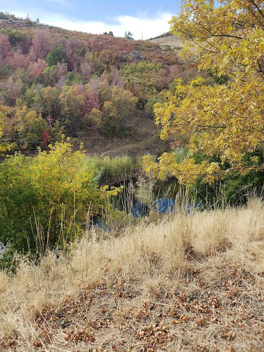 McHenry Campground Picture 6