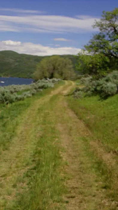 Keetley Point Campground Picture 8