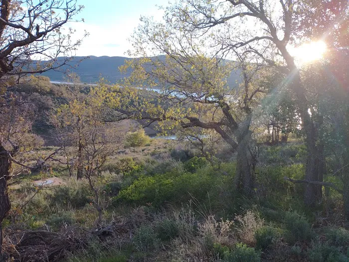 Keetley Point Campground Picture 4