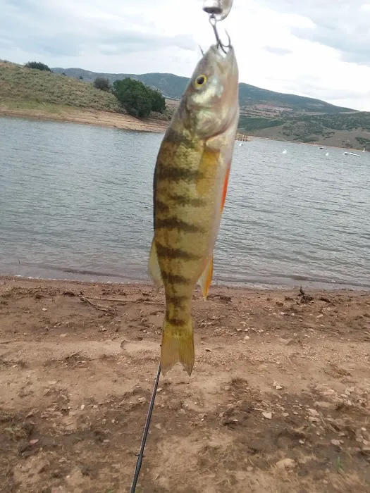 Keetley Point Campground Picture 6