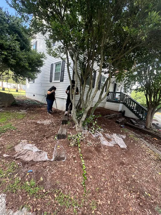 Suburban Woods Picture 8