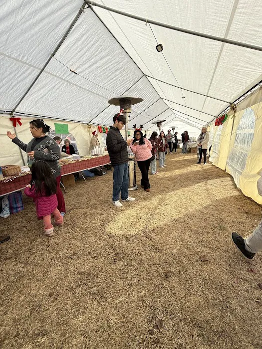 Suburban Woods Picture 6