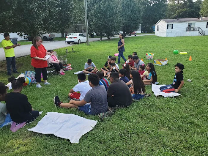 Suburban Woods Picture 9