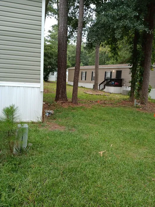 Suburban Woods Picture 1