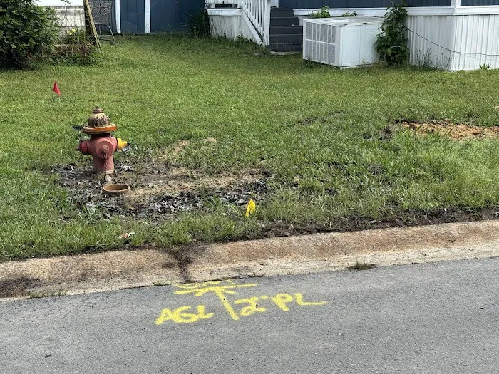 Suburban Woods Picture 10