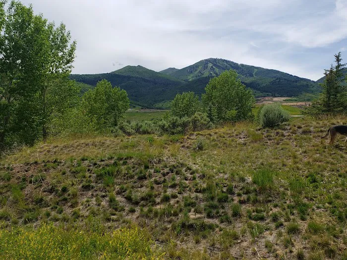 Hailstone Campground Picture 8