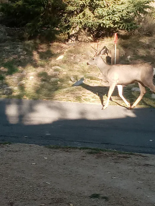 Hailstone Campground Picture 6