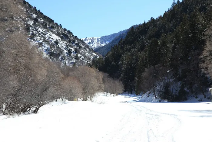 Middle Canyon Campground Picture 9