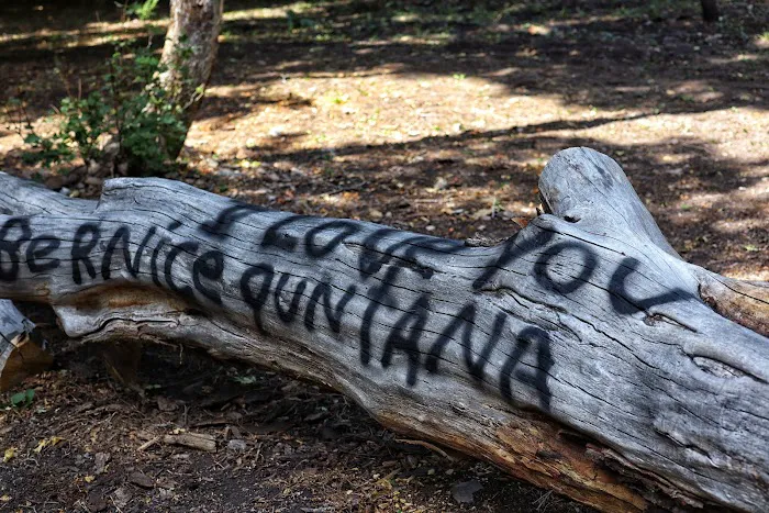 Middle Canyon Campground Picture 6