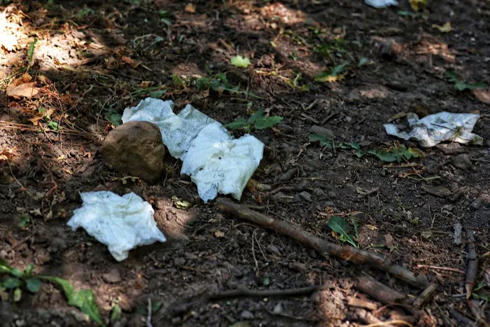 Middle Canyon Campground Picture 3