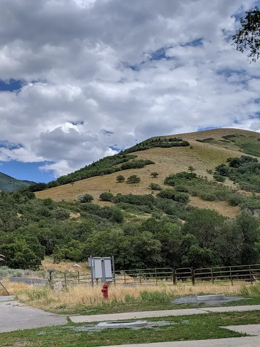 Legion Park Campground Picture 8