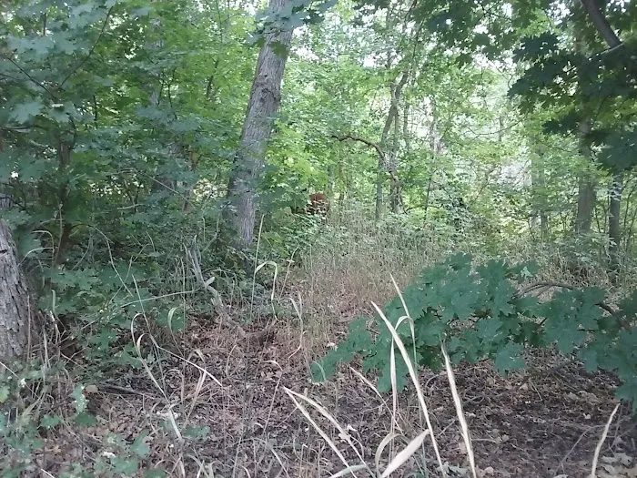 Legion Park Campground Picture 5