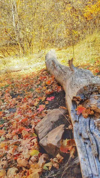 Legion Park Campground Picture 10