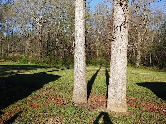 Lithia Mobile Home Park Picture 7