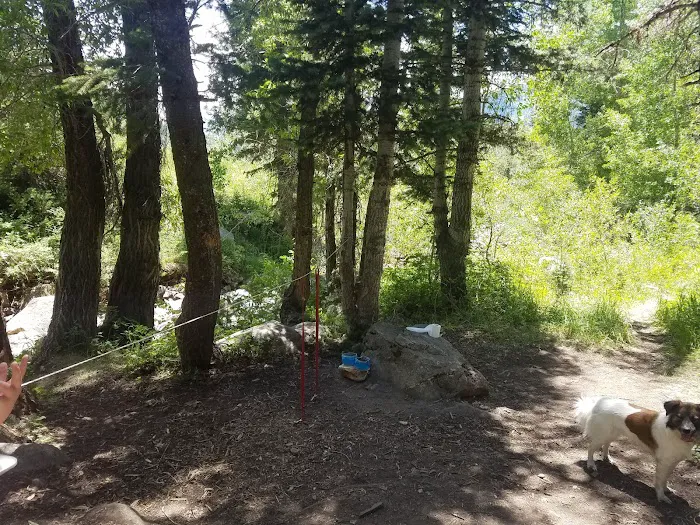 Kimball Campground Picture 4