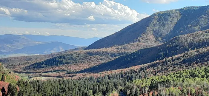 Harvest Grove Group Campsite Picture 1