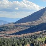 Harvest Grove Group Campsite