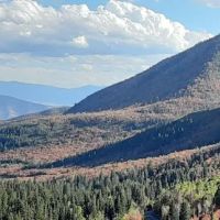 Harvest Grove Group Campsite ico