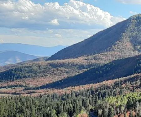 Harvest Grove Group Campsite