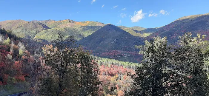 Harvest Grove Group Campsite Picture 4