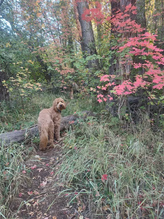 Harvest Grove Group Campsite Picture 10