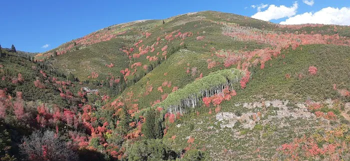 Harvest Grove Group Campsite Picture 5