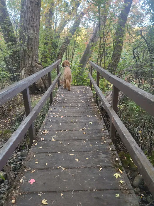 Harvest Grove Group Campsite Picture 8