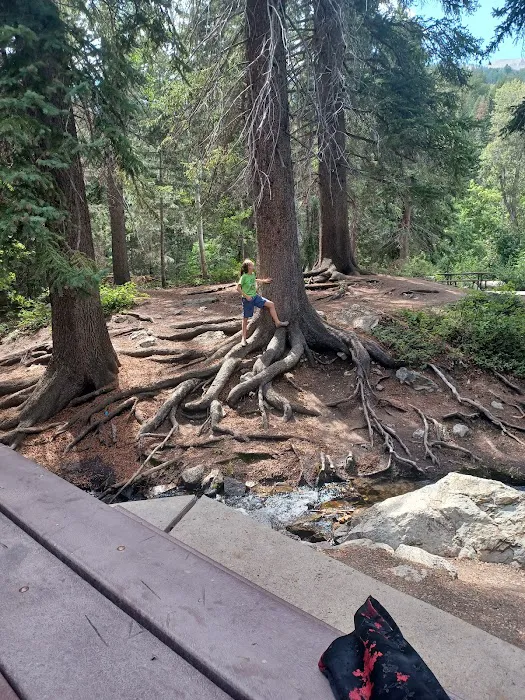 Stonemason Site, Granite Flat Campground, Uinta-Wasatch-Cache National Forest, American Fork, Utah Picture 2