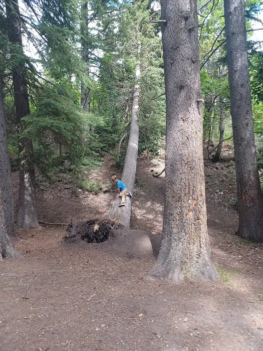 Stonemason Site, Granite Flat Campground, Uinta-Wasatch-Cache National Forest, American Fork, Utah Picture 5