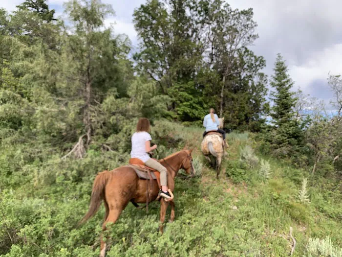 Granite Flat Campground Picture 4