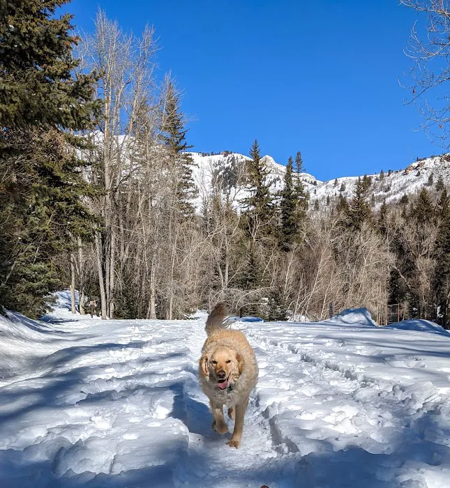 Granite Flat Campground Picture 2