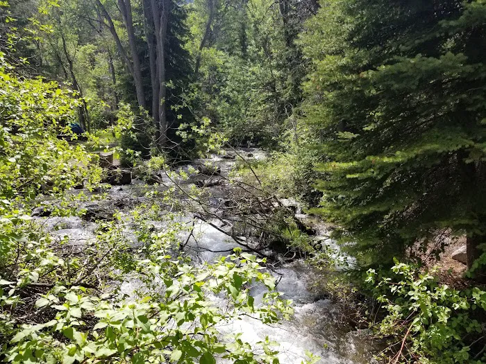 Granite Flat Campground Picture 1