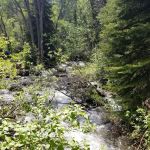 Granite Flat Campground