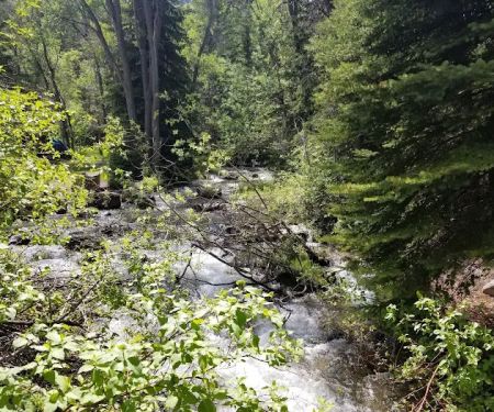 Granite Flat Campground