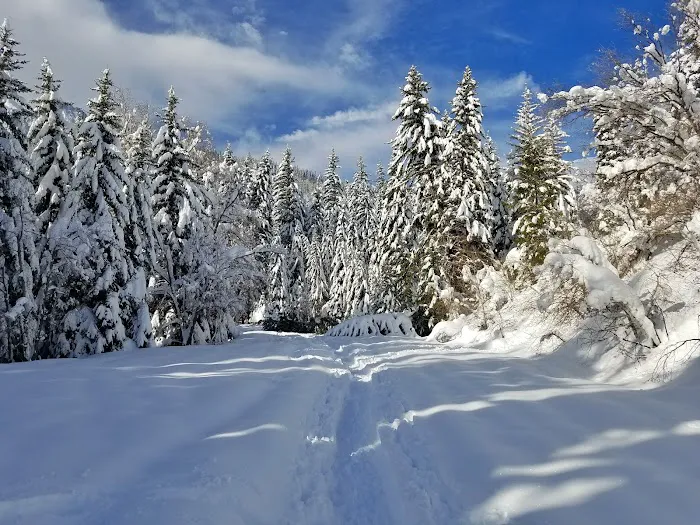 Granite Flat Campground Picture 5