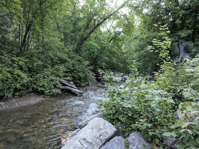 Little Mill Picture 4