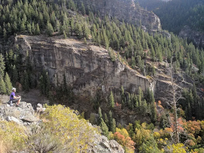 Little Mill Picture 1