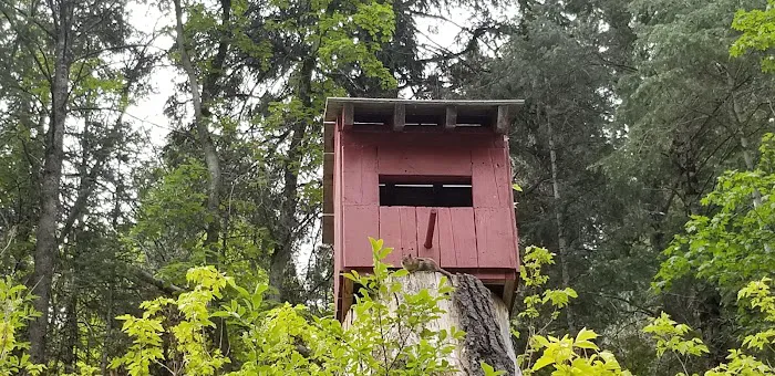 Little Mill Picture 3