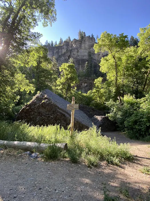 Little Mill Campground Picture 5