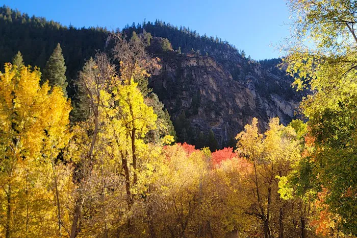 Little Mill Campground Picture 3