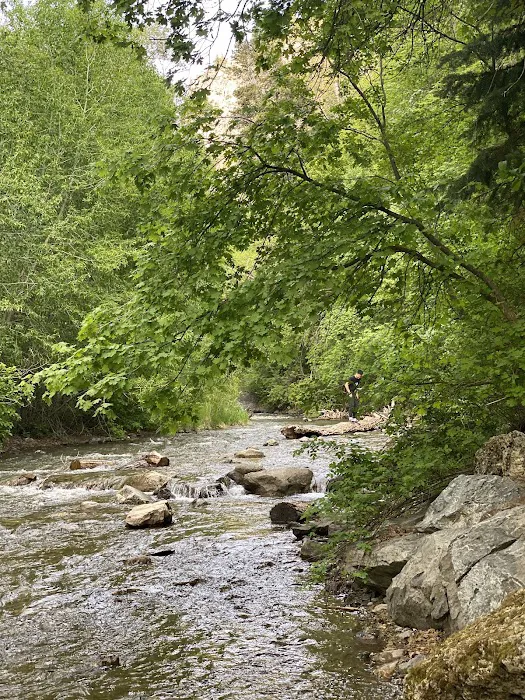 Little Mill Campground Picture 7